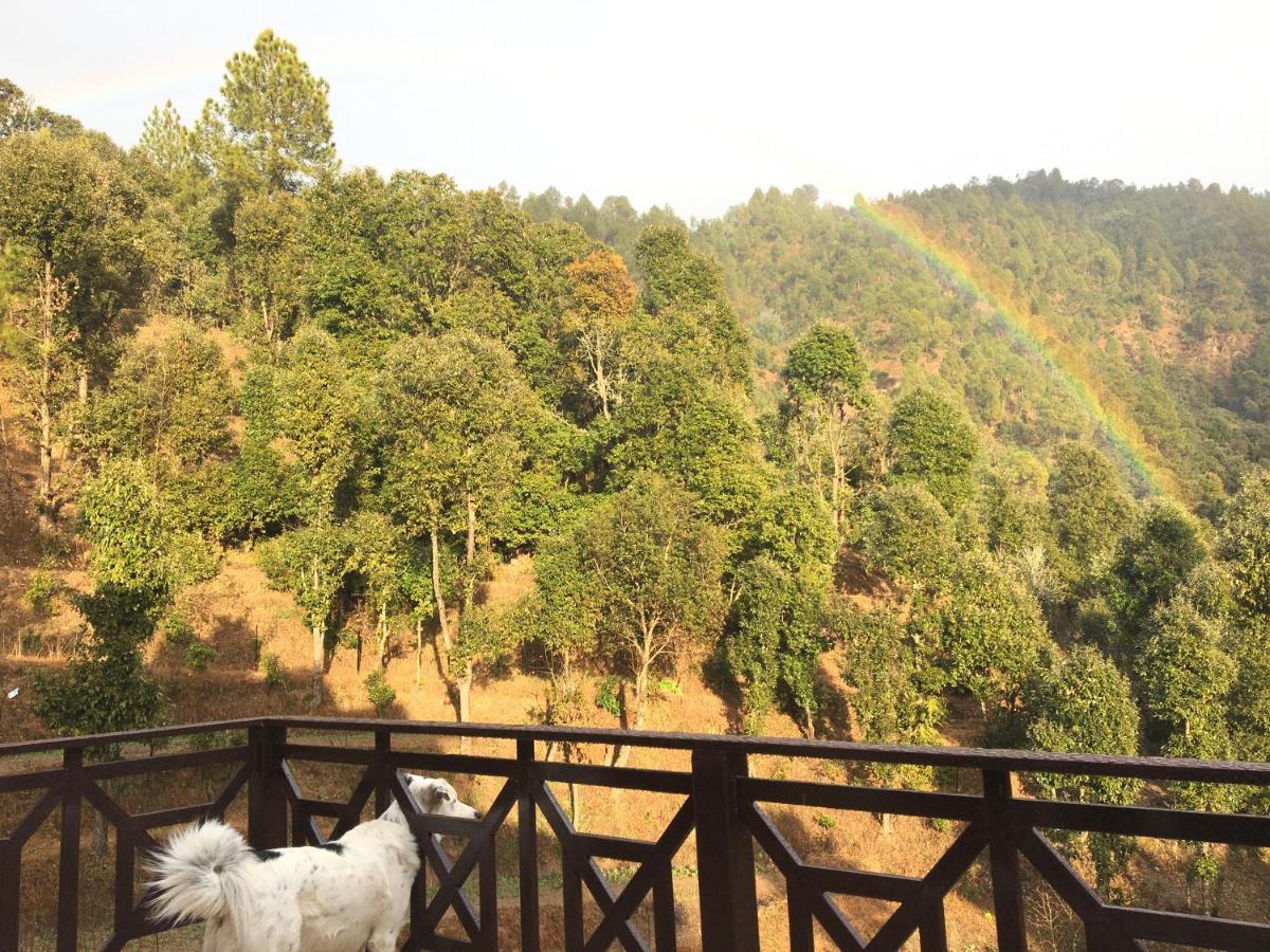 Francolin Lodge-farmstay @ Darima Farm stay *