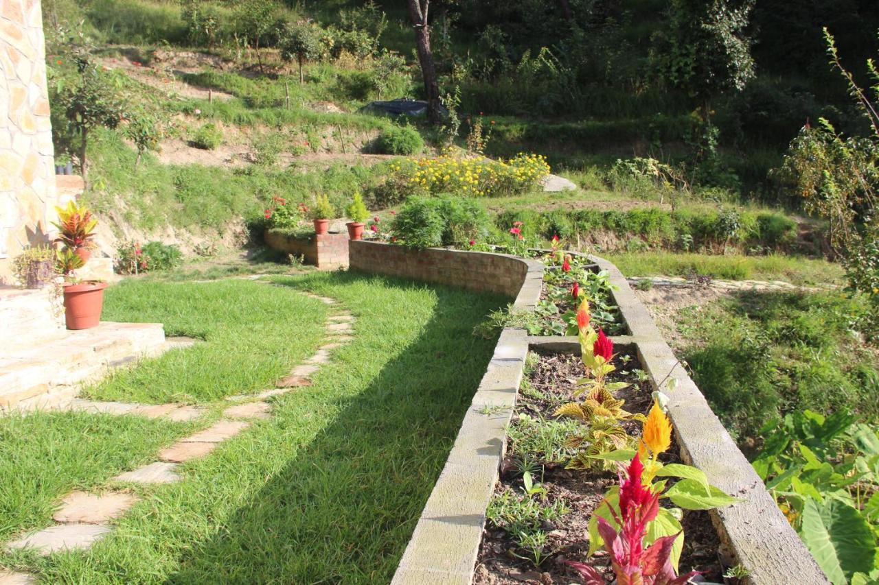 Farm stay Francolin Lodge-farmstay @ Darima