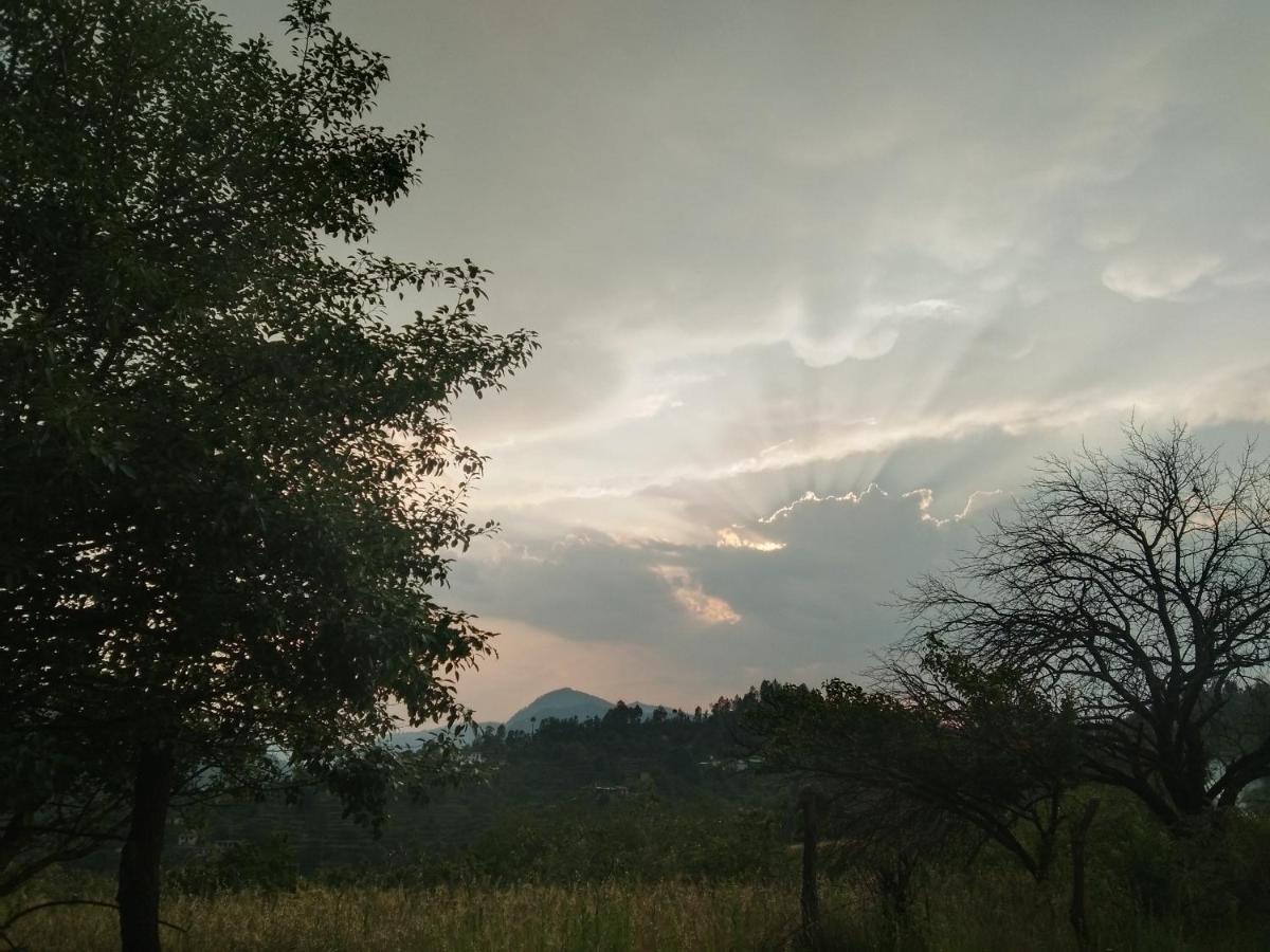 Francolin Lodge-farmstay @ Darima Farm stay Mukteshwar