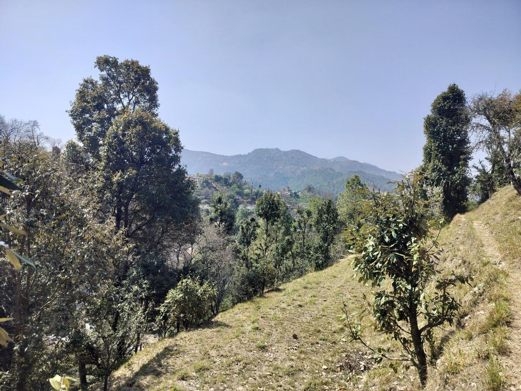 Francolin Lodge-farmstay @ Darima Farm stay Mukteshwar