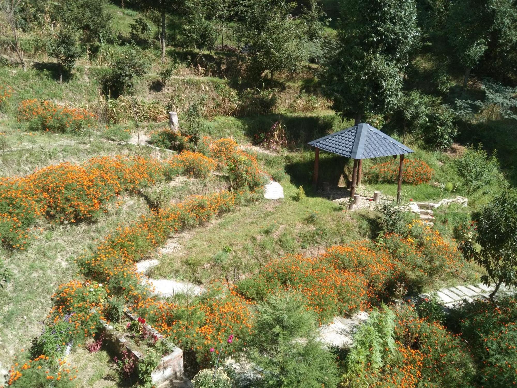 Francolin Lodge-farmstay @ Darima Farm stay *