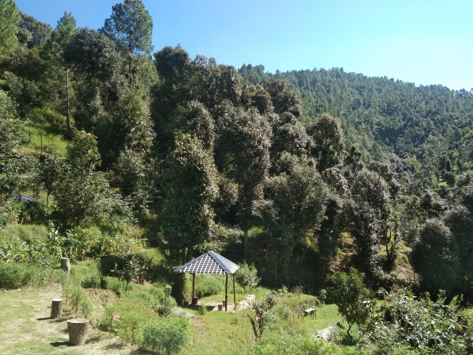 Francolin Lodge-farmstay @ Darima Mukteshwar