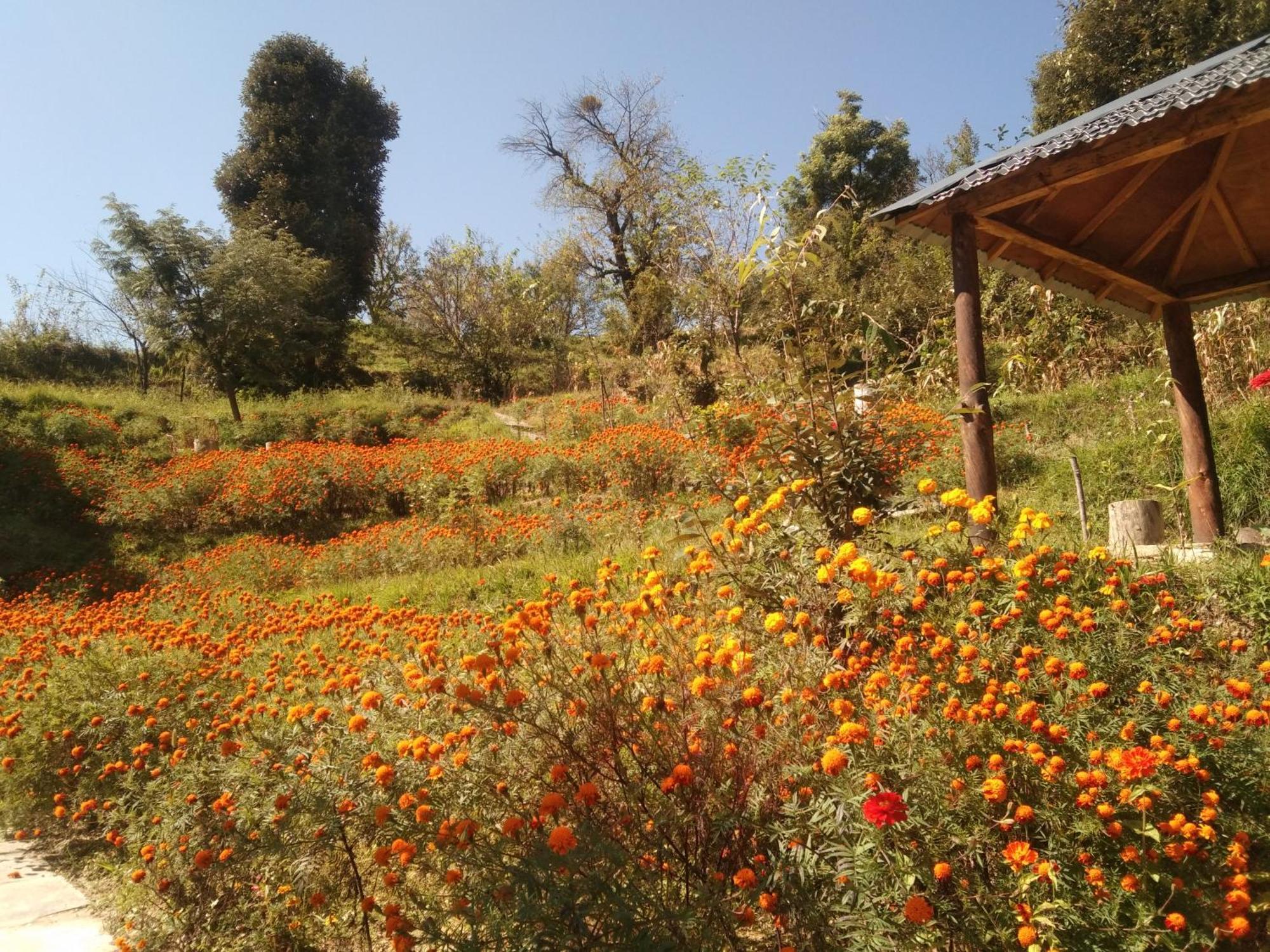 Francolin Lodge-farmstay @ Darima